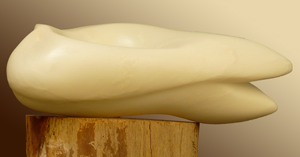 Witte wave